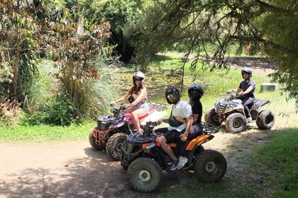 quad bike Quad Tour from Medellin with Transport