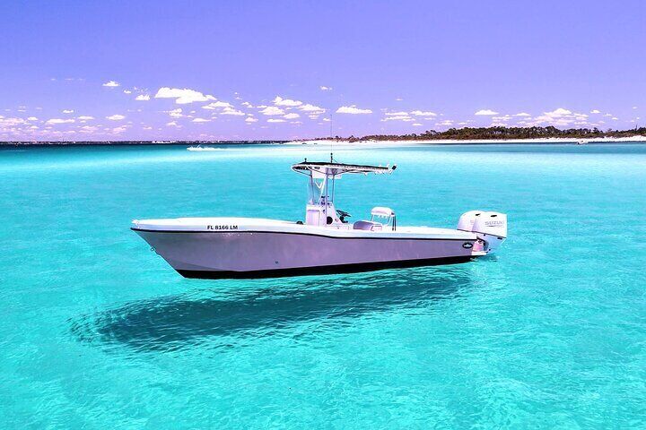  3 Hour Dolphin Tour and Snorkeling in Shell Island