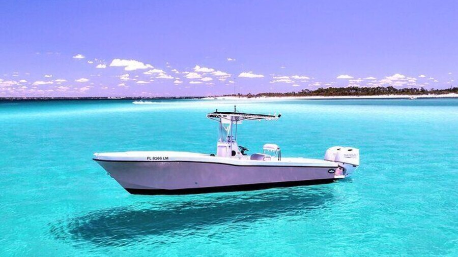 3 Hour Dolphin Tour and Snorkeling in Shell Island