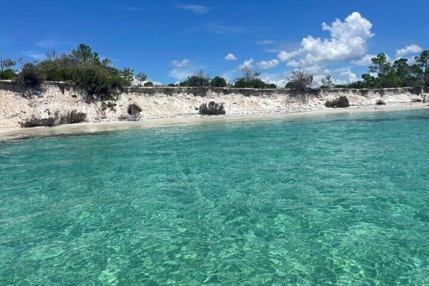 Shell Island Adventure for 3 Hours: Dolphin View and Snorkeling