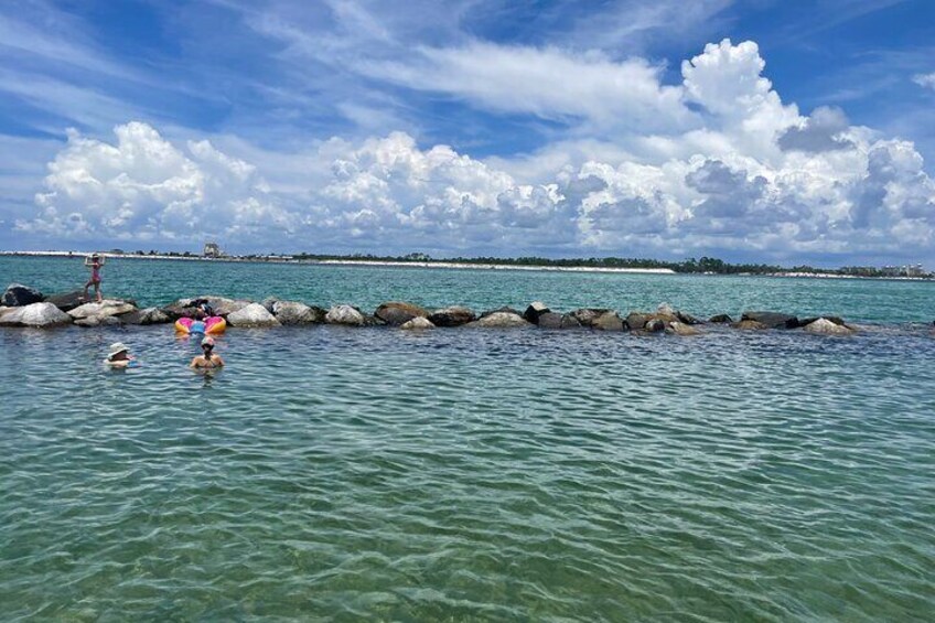 Shell Island Adventure for 3 Hours: Dolphin View and Snorkeling