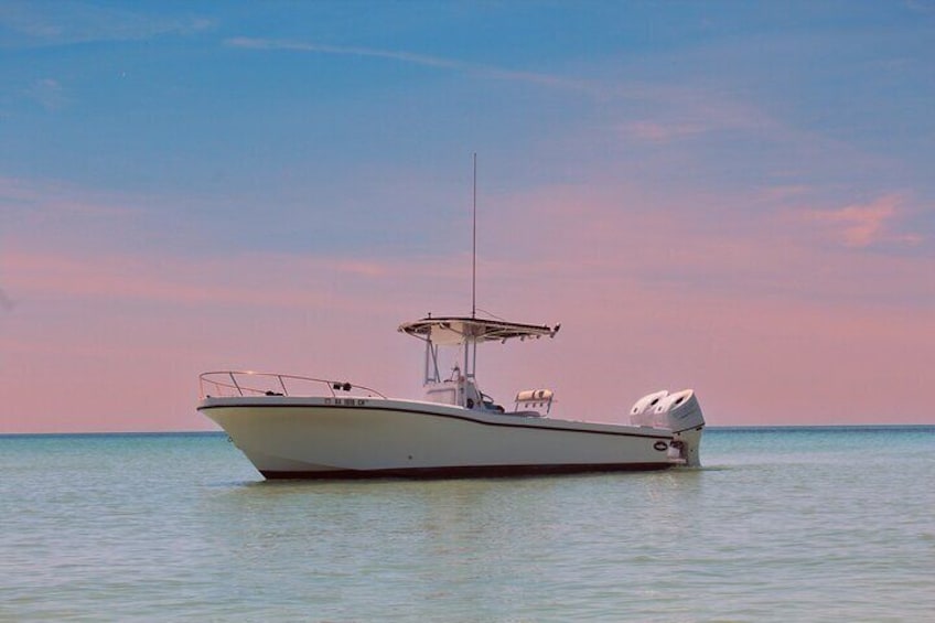 Shell Island Adventure for 3 Hours: Dolphin View and Snorkeling