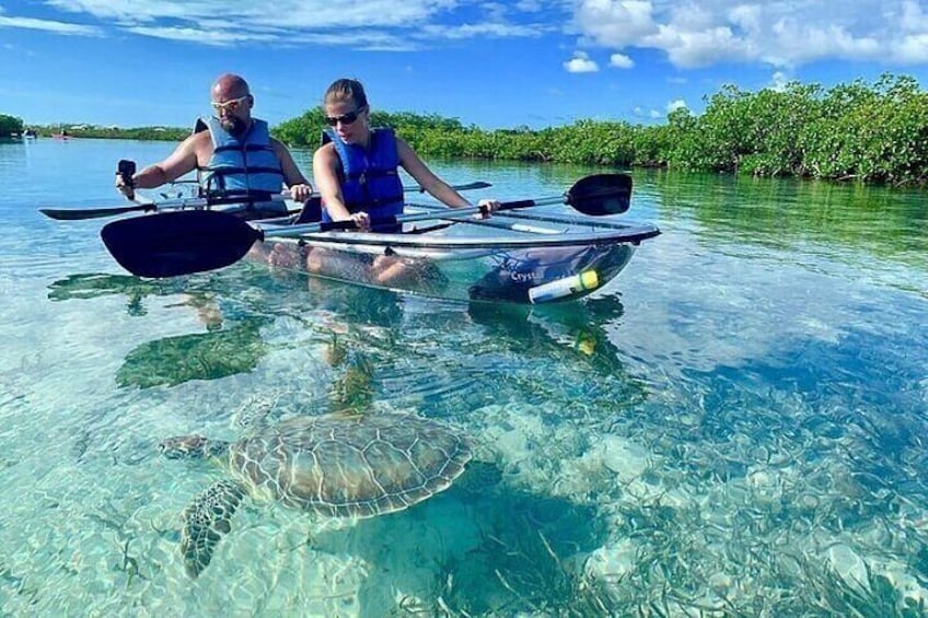Private Mangrove Cay Tours
