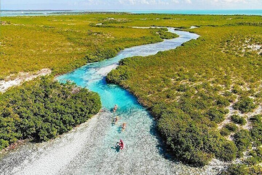 Private Mangrove Cay Tours