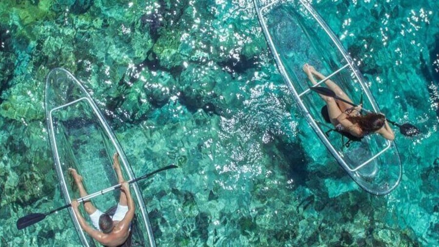 Private Mangrove Cay Tours