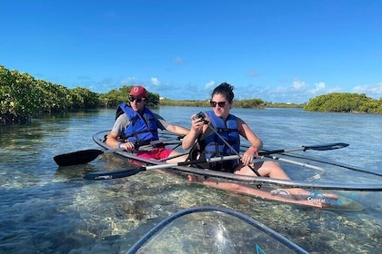 Mangrove Cay and Iguana Island Tours