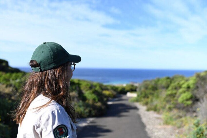 Park Ranger at Seal Bay
