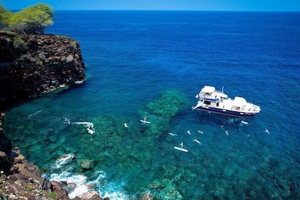 Croisière de luxe de la côte de Kona avec plongée masque et tuba et barbecu...