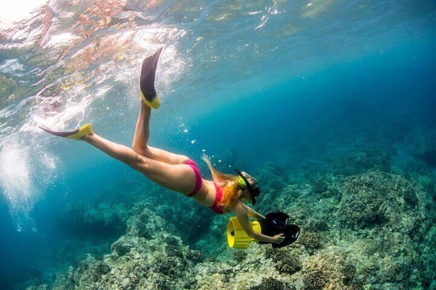 Kona Coast Snorkel Tour