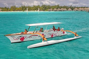 Full-Day Small-Group Nature & Cultural Tour