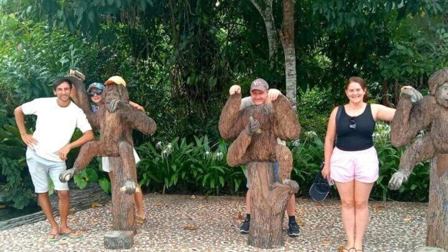 Photo Session Sepilok Orang Utan