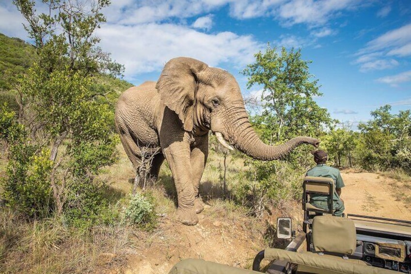 One Day Safari to Mikumi Departure from Zanzibar