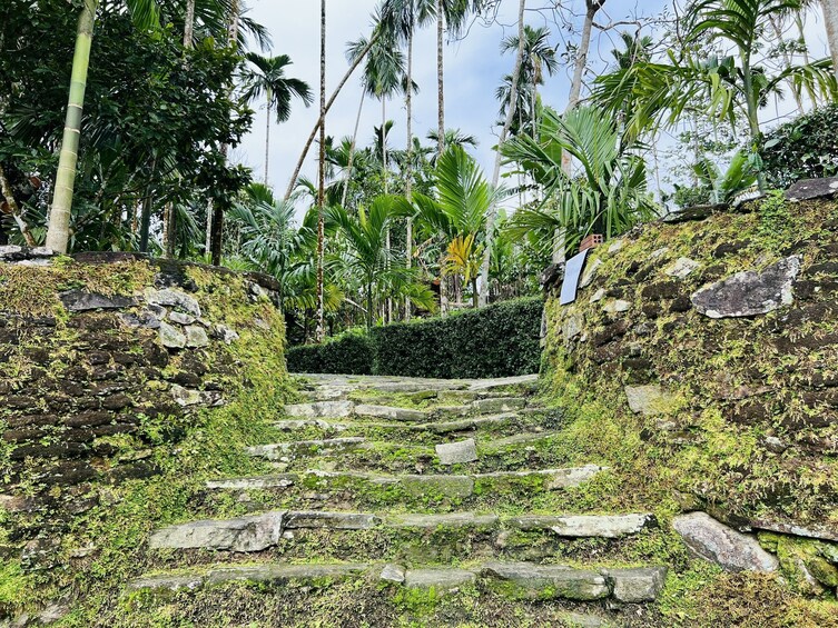 FULL-DAY LOC YEN ANCIENT VILLAGE & O O WATERFALL FROM HOI AN