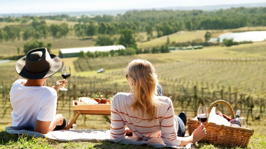 From Pokolbin: Picnic and Wine Tasting