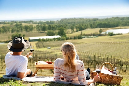 Desde Pokolbin: picnic y degustación de vinos