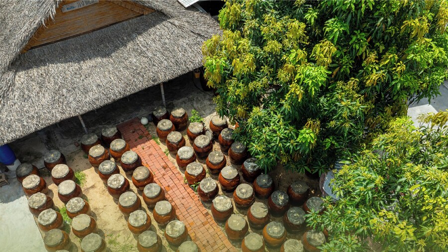 Full-day Cultural Cruise Discovering Hoi An's Treasures And Rhum Production