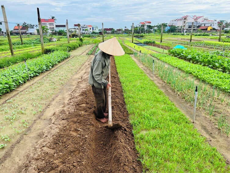 Half-day Art Of Green In Hoi An