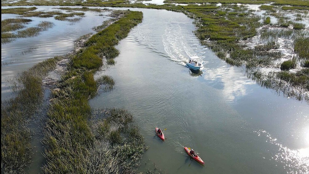 Picture 3 for Activity Hilton Head: 2 Hour Private Dolphin Tour