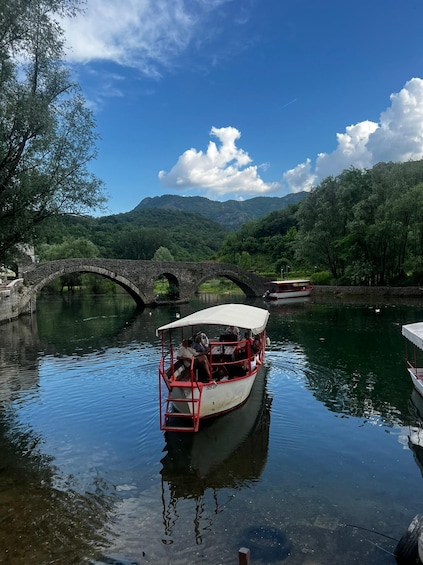 From Kotor, Budva, Tivat: Skadar Lake Boat Tour & Wine
