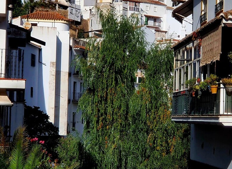 Picture 31 for Activity From Malaga: Ronda and Setenil de las Bodegas Complete Tour