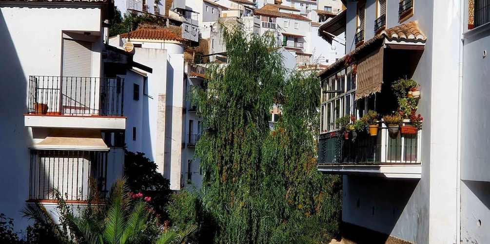 Picture 34 for Activity From Malaga: Ronda and Setenil de las Bodegas Complete Tour