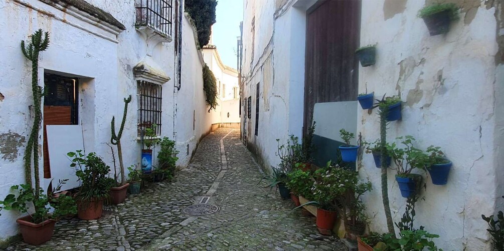 Picture 5 for Activity From Malaga: Ronda and Setenil de las Bodegas Complete Tour