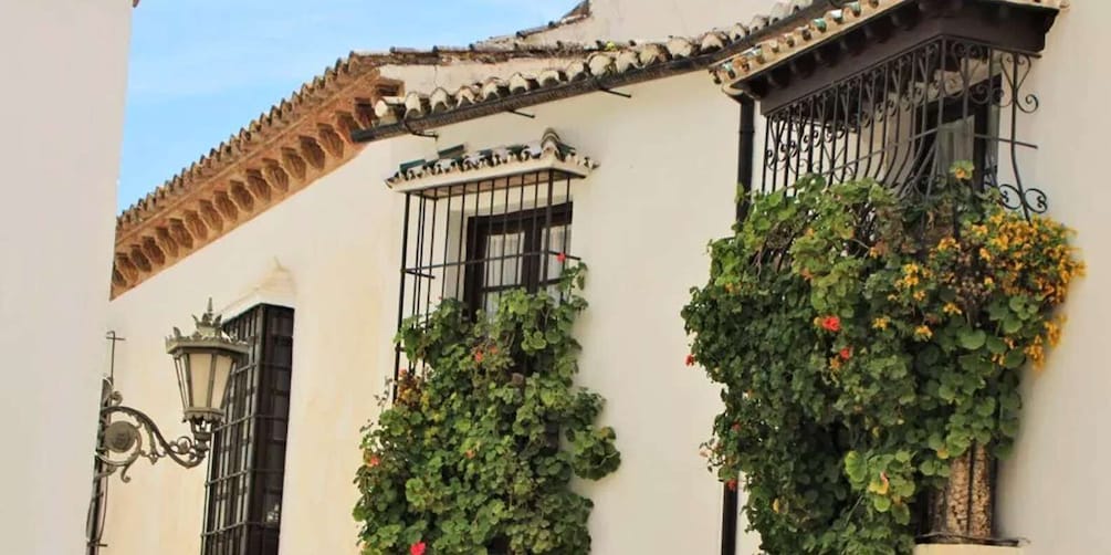 Picture 26 for Activity From Malaga: Ronda and Setenil de las Bodegas Complete Tour