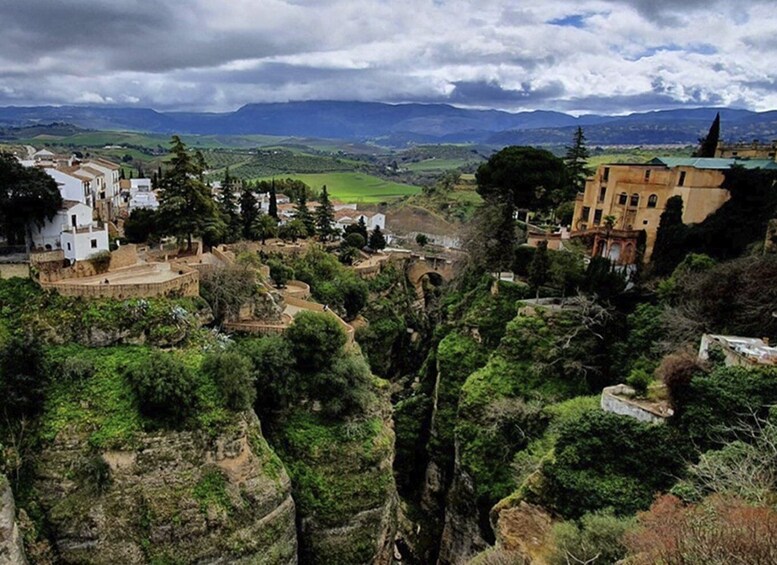 Picture 7 for Activity From Malaga: Ronda and Setenil de las Bodegas Complete Tour