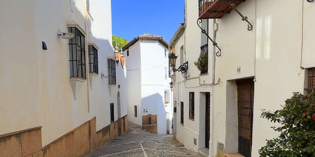 Picture 34 for Activity From Malaga: Ronda and Setenil de las Bodegas Complete Tour