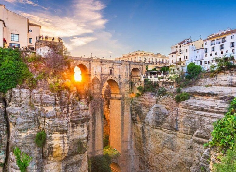 Picture 19 for Activity From Malaga: Ronda and Setenil de las Bodegas Complete Tour