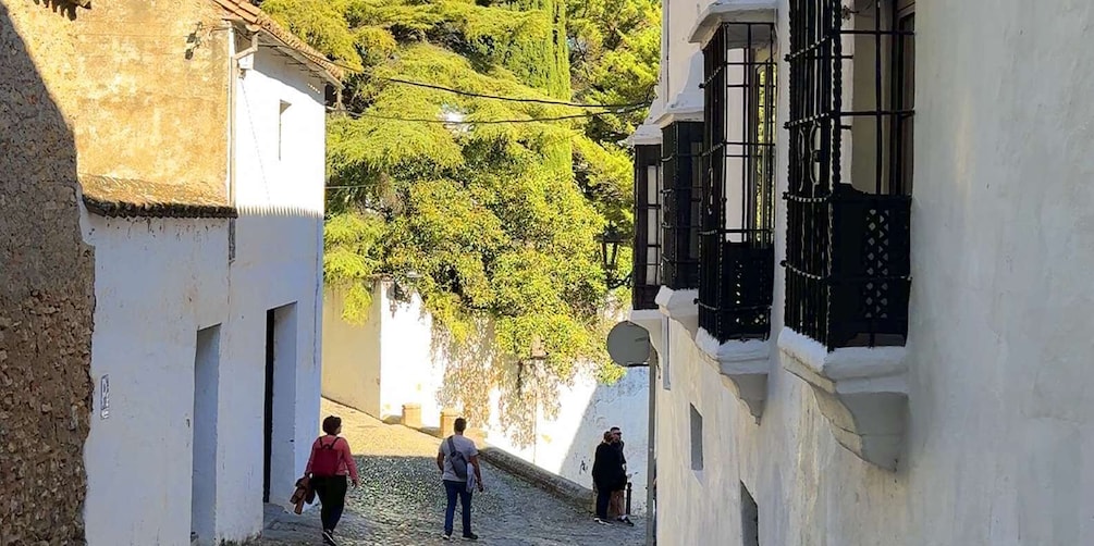 Picture 36 for Activity From Malaga: Ronda and Setenil de las Bodegas Complete Tour