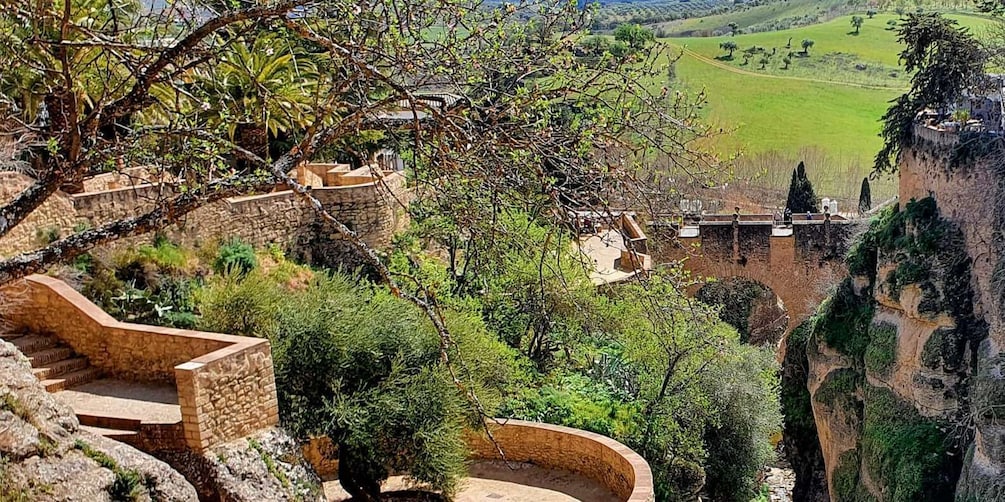 Picture 17 for Activity From Malaga: Ronda and Setenil de las Bodegas Complete Tour