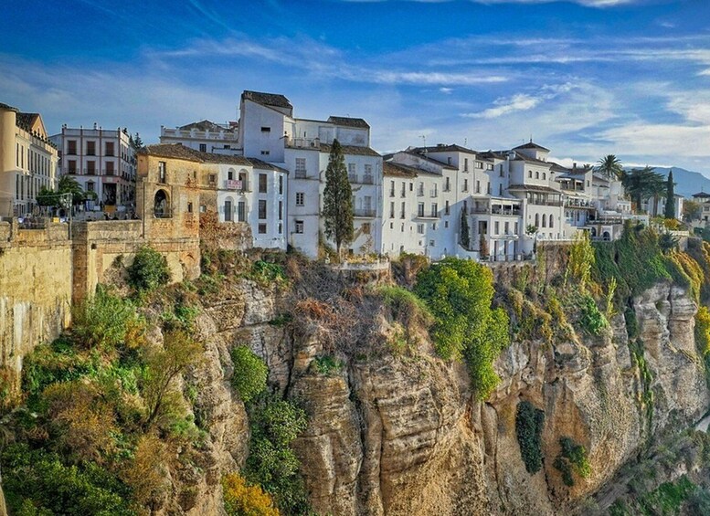 Picture 9 for Activity From Malaga: Ronda and Setenil de las Bodegas Complete Tour