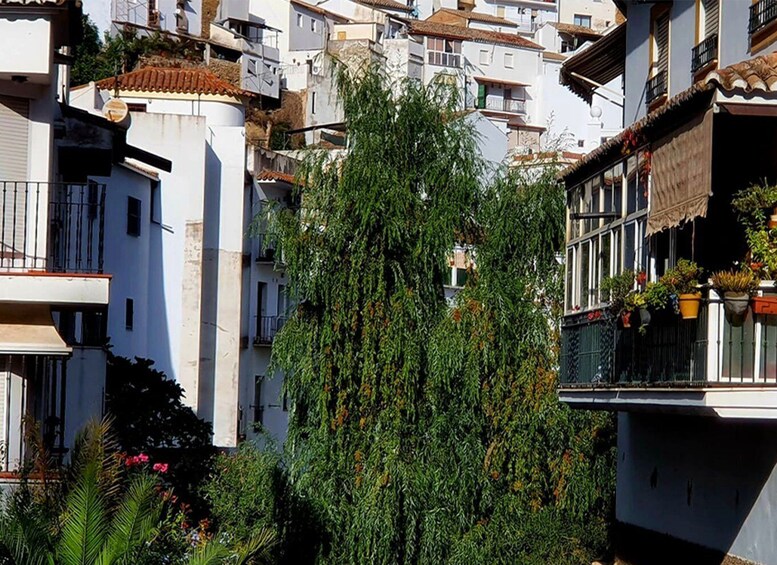 Picture 31 for Activity From Malaga: Ronda and Setenil de las Bodegas Complete Tour