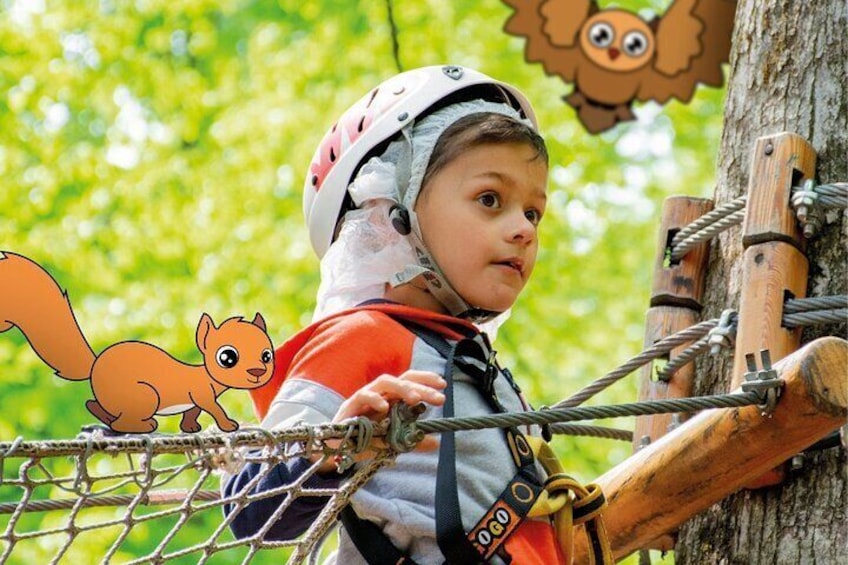 Children Daily Ticket for Adventure Park in Gravedona