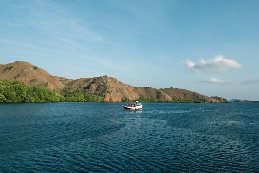 Full-Day Adventure Tour to komodo Island with Speed Boat