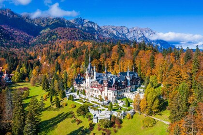 Desde Bucarest: tour privado de un día a Bran, el castillo de Peles y Braso...