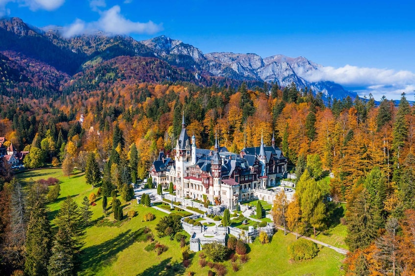 From Bucharest: Bran, Peles Castle & Brasov Private Day Tour