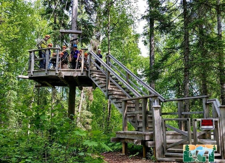 Picture 2 for Activity Talkeetna: Denali Zipline Tours