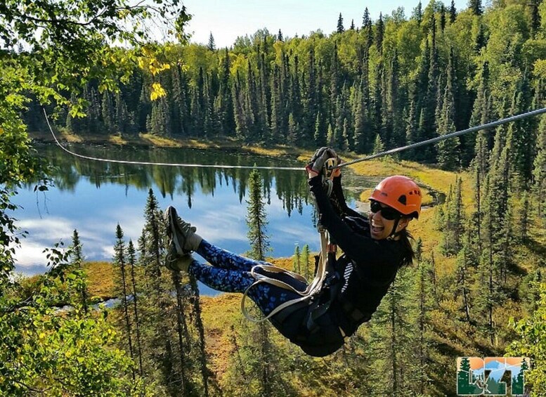 Talkeetna: Denali Zipline Tours