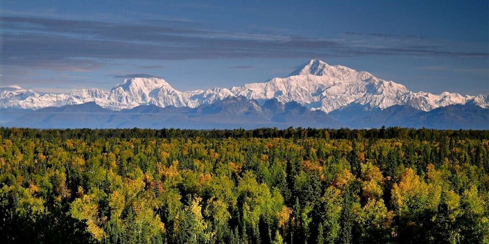 Picture 1 for Activity Talkeetna: Zipline Tour