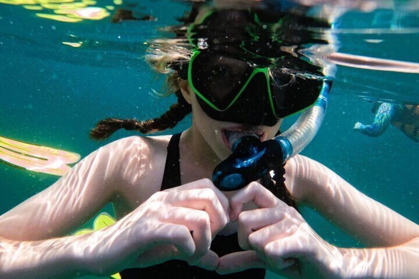 Snorkeling with turtles in Fujairah with BBQ lunch 