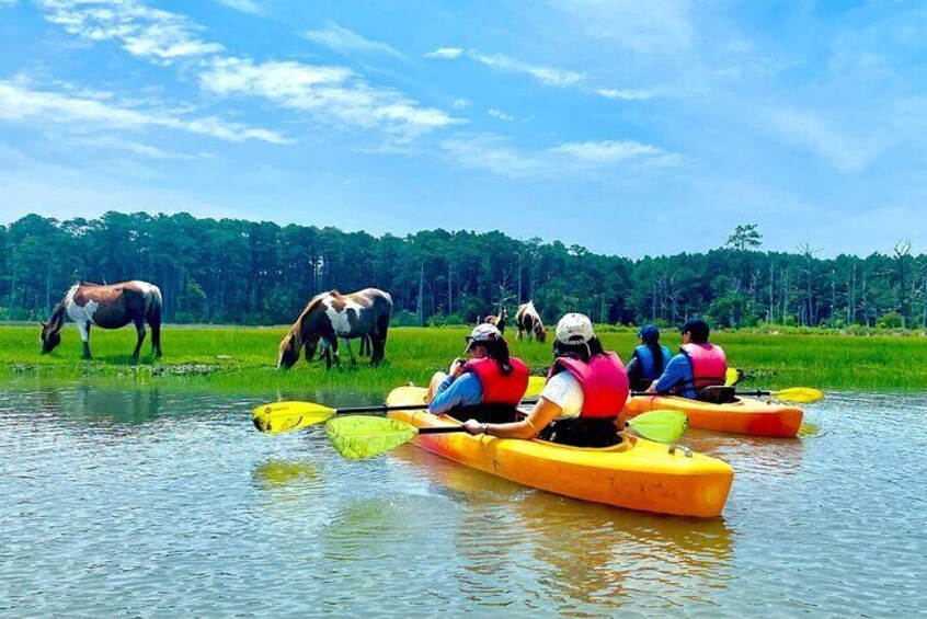 Kayak Tour around Chincoteague and Assateague Islands