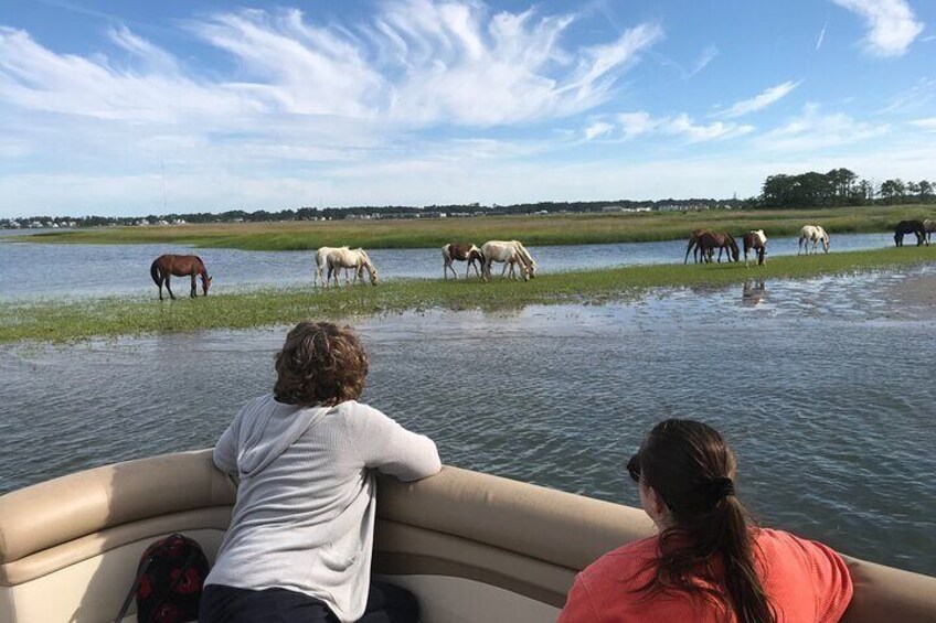 A Safe and Socially Distanced Chincoteague Island Getaway