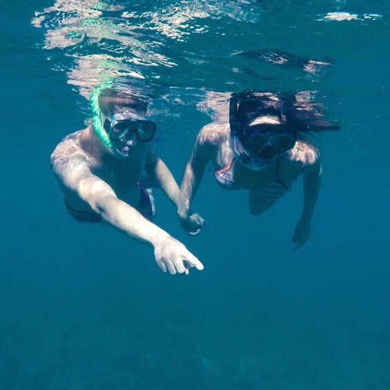 Picture 4 for Activity From Cannigione: Private Caprera Snorkeling Trip by Boat