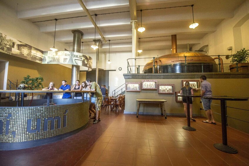 Picture 2 for Activity Velke Popovice: Kozel Brewery Tour with Beer Tasting