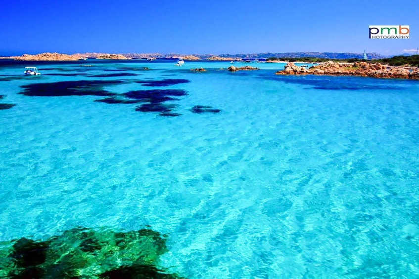 Picture 4 for Activity From Palau: La Maddalena Archipelago Day Tour by Boat