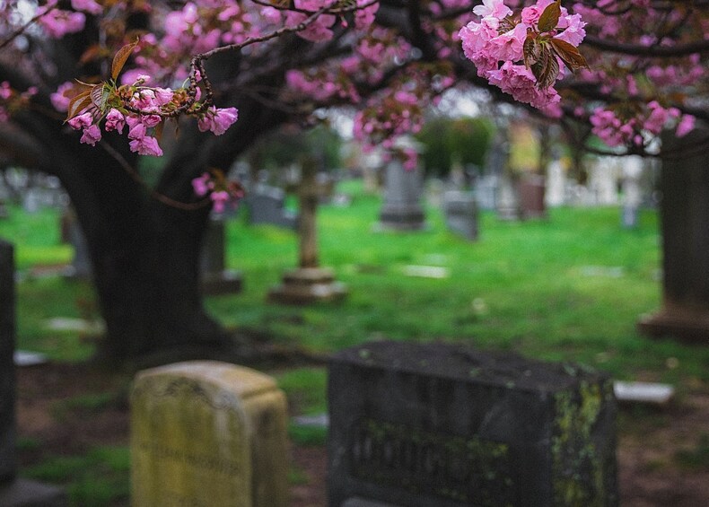 Congressional Cemetery In-App Audio Tour: a High-Spirited Walk