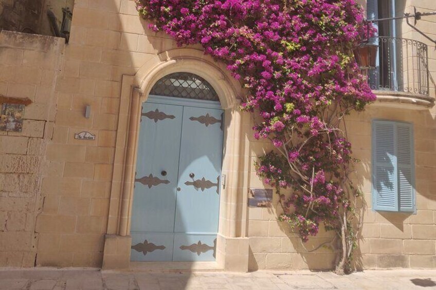 Private tour explore the Old City of Mdina in a half day
