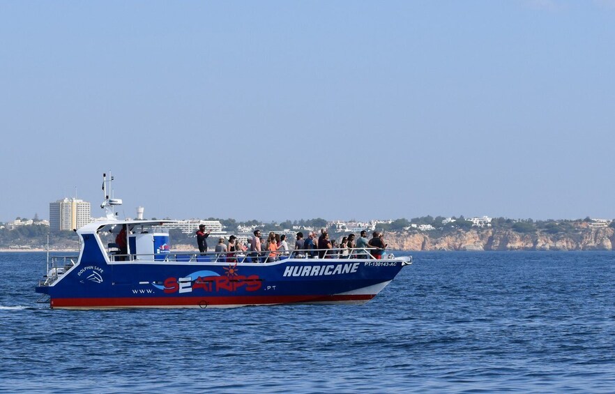 Picture 1 for Activity Lagos: Dolphin & Benagil Tour with Marine Biologist